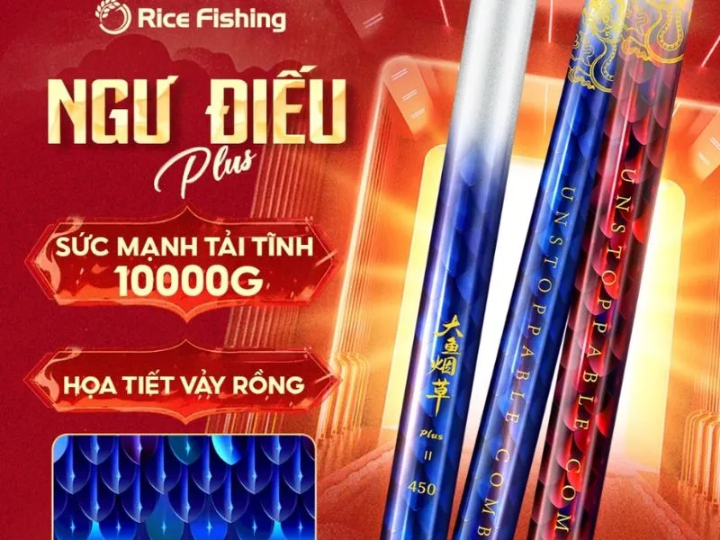 Cần Câu Đài Chính Hãng Chất Lượng Cao