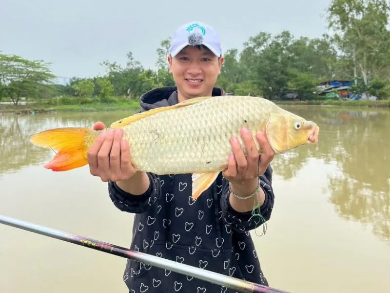 Câu Cá Dịch Vụ Là Gì? Cách Câu Này Có Gì Khác Biệt?