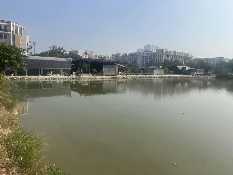 Hồ câu đài Quang Huy - Điểm đến mà cần thủ không nên bỏ qua!