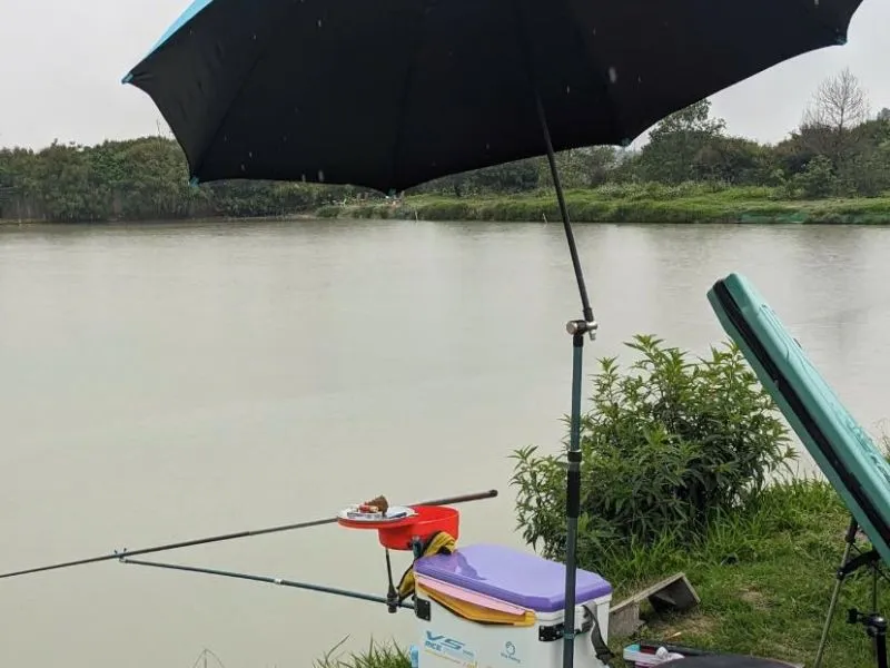 Hồ Câu Và Những Điều Chưa Chắc Bạn Đã Biết!