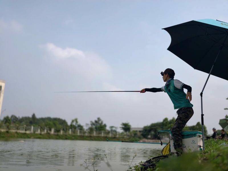 Hướng Dẫn Người Mới Cách Câu Cá Cụ Thể!