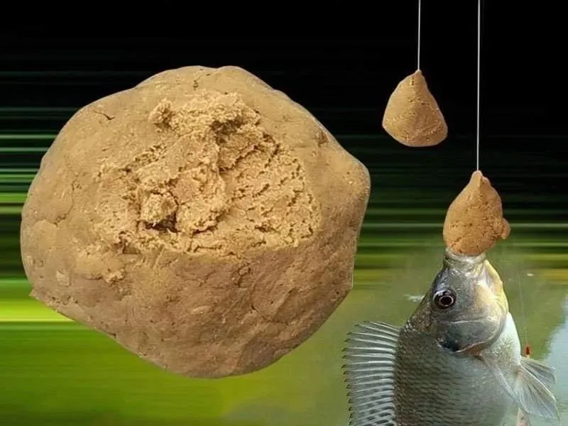 Mồi câu cá rô phi mùa đông - Chìa khoá thành công của các cần thủ