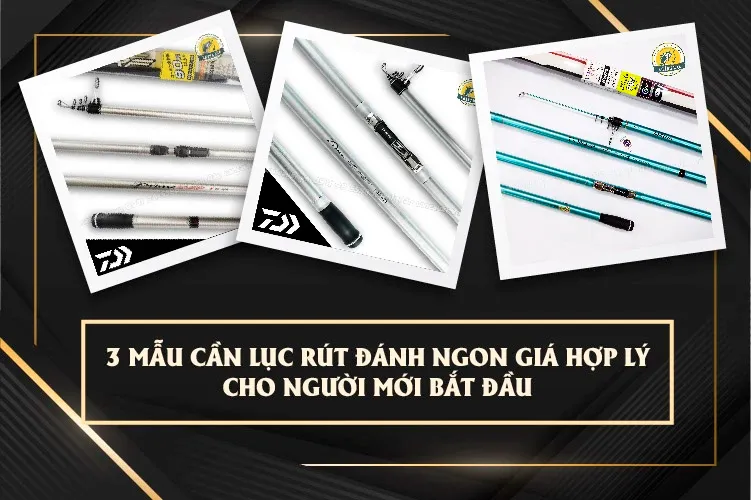 3 Mẫu Cần Lục Rút Đánh Ngon Giá Hợp Lý Cho Người Mới Bắt Đầu