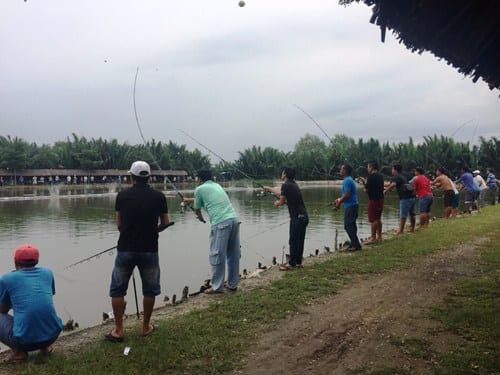 BVPL: Canh bạc tiền tỷ ẩn sau... thú câu cá giải trí