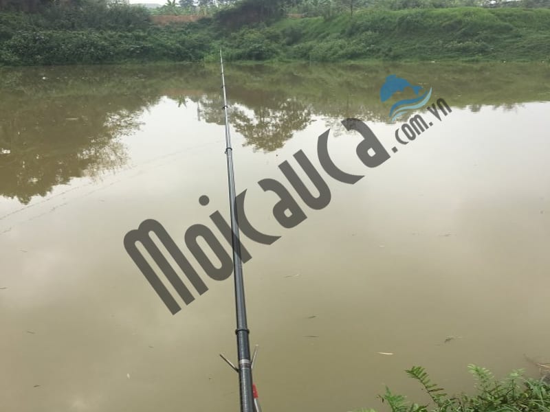 cần câu cá sông