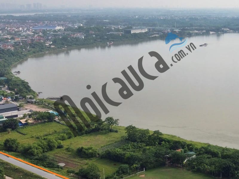 Câu ở sông hồng