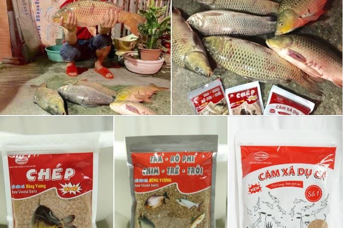Mồi câu cá đóng sẵn - Mồi câu cá Hùng Vương