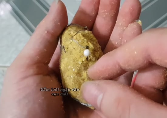 Cách nắm mồi lăng xê