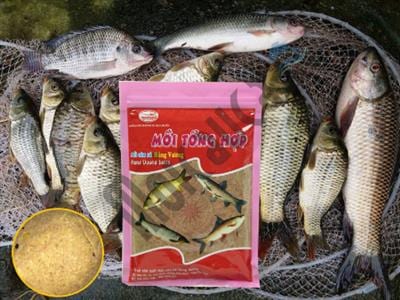 Hướng dẫn dùng mồi câu cá nước ngọt tổng hợp, thả cần là dính cá