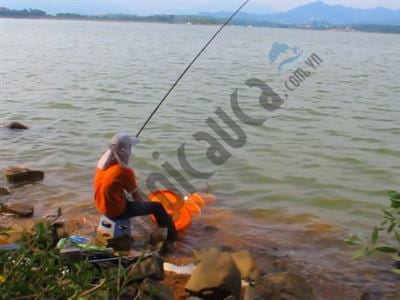 kỹ thuật câu cá mùa hè đạt hiệu quả, lời khuyên cần thiết cho người mới câu cá