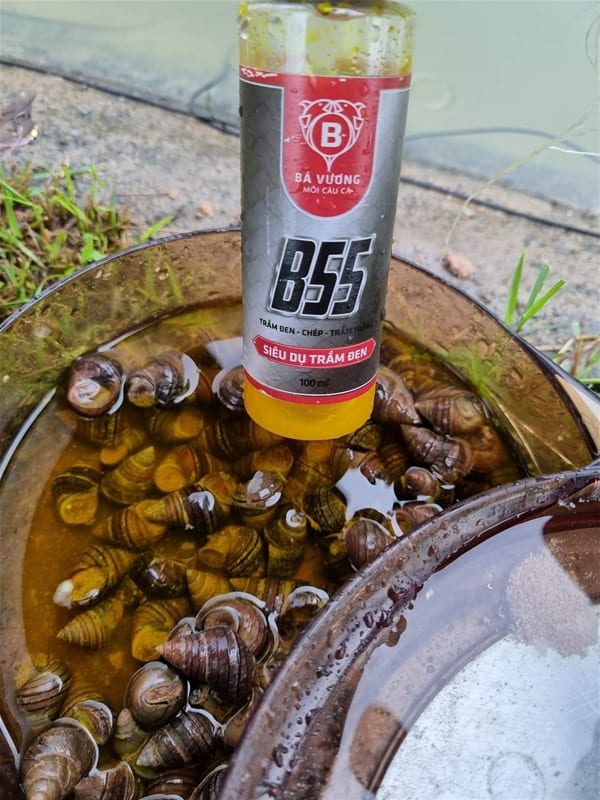 Siêu dụ cá trắm đen B55