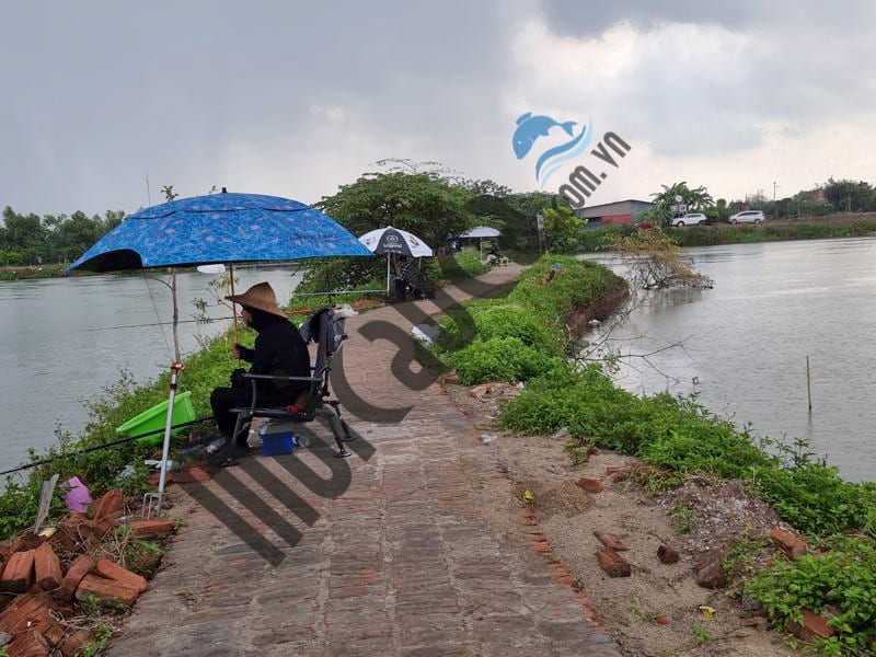 Chọn hồ câu, địa điểm câu cá
