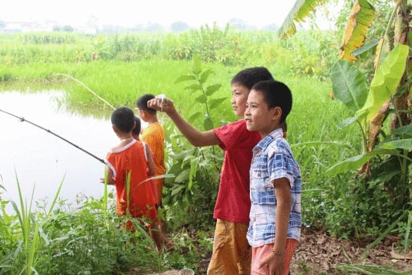 [Mẫu] Giải câu đêm — trải nghiệm khác biệt, cá ăn khuya hơn ban ngày.