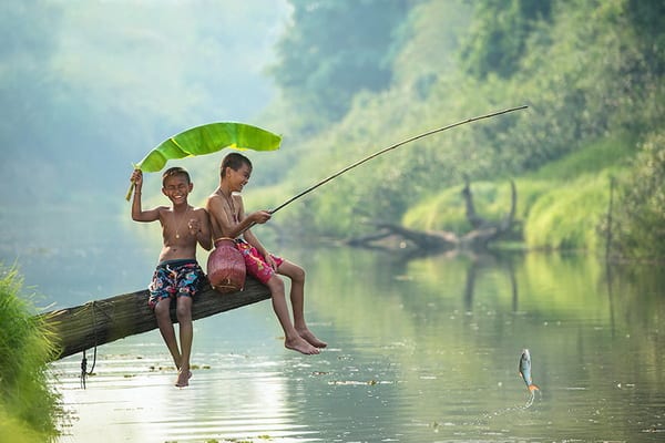 [Mẫu] Lịch thả cá đêm — thả sau 22h, sáng hôm sau cá ăn mạnh.