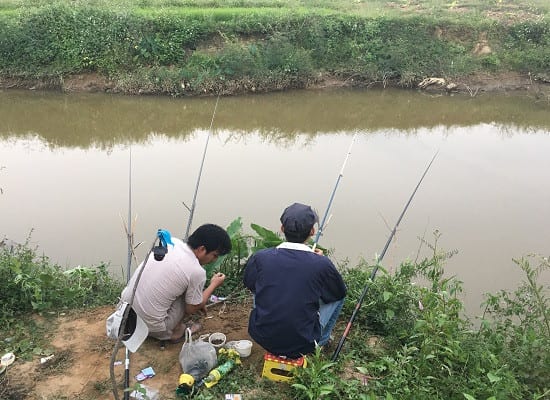 [Mẫu] Giải rô phi — tốc độ và kỹ thuật, ai nhiều cá hơn thắng!