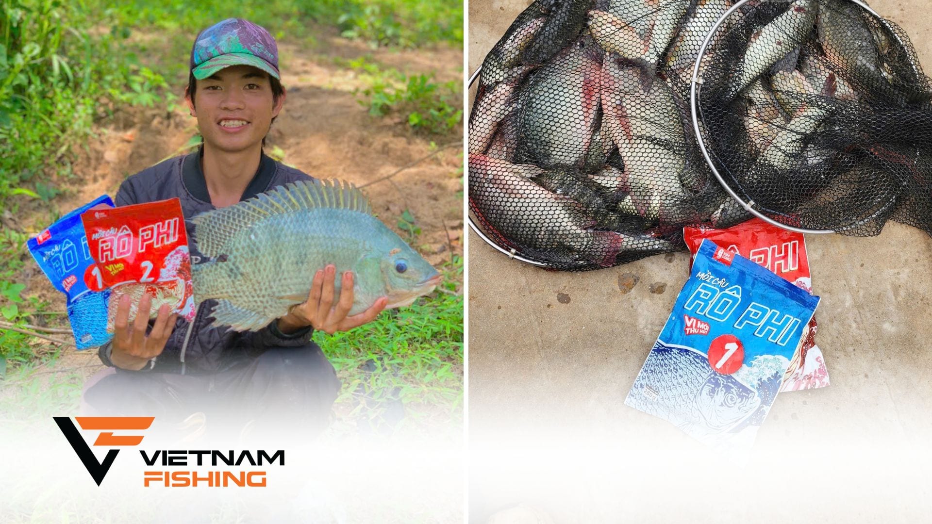 Phối mồi rô phi sao cho nhạy? Bí quyết mix "tôm - gan" giật cần mỏi tay