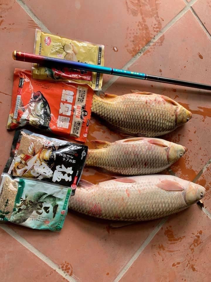 Mồi câu cá lớn tự nhiên