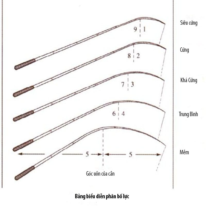 độ cứng của cần câu tay