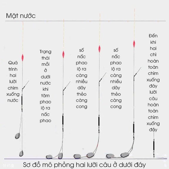 chỉnh phao một cách chính xác