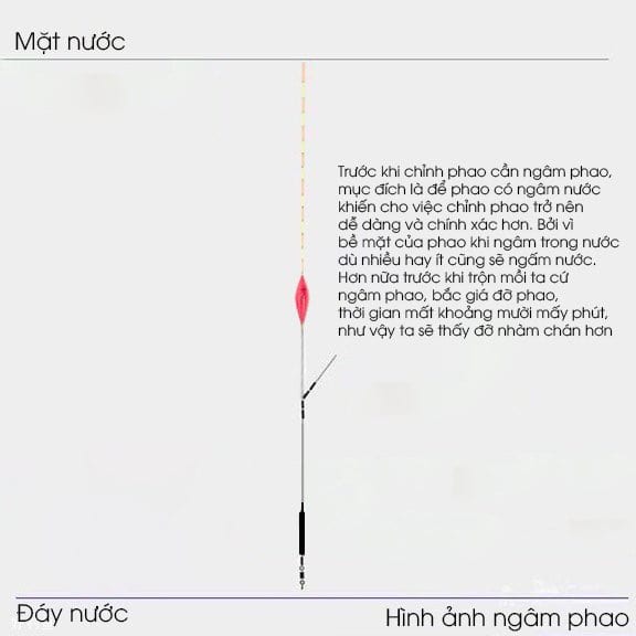 4 Bước cân chỉnh phao