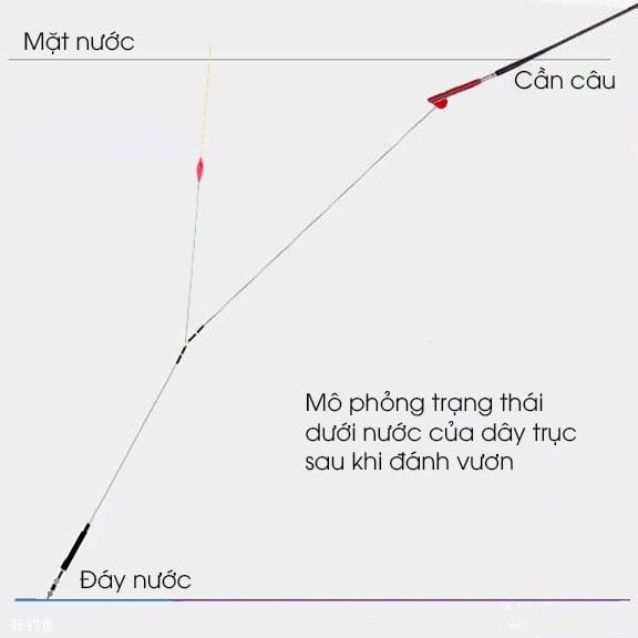 4 bước để chỉnh phao một cách chính xác