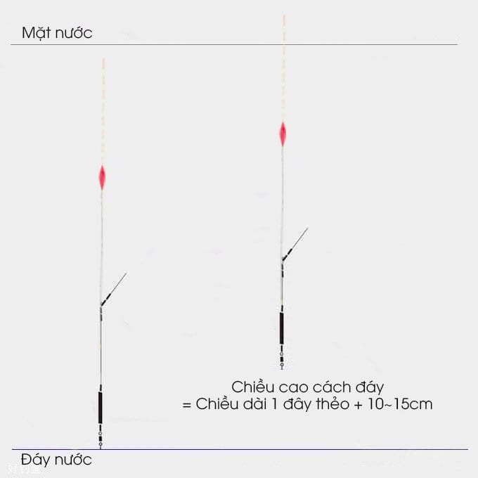chỉnh phao một cách chính xác