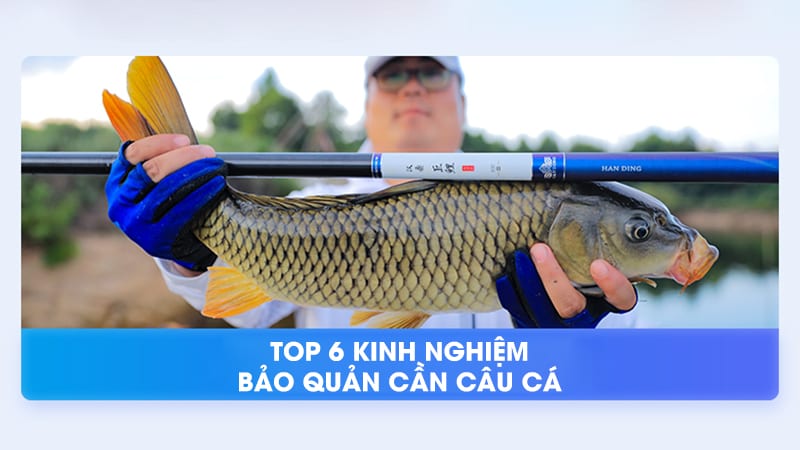 Top 6 Kinh Nghiệm Bảo Quản Cần Câu Cá Mà Mỗi Cần Thủ Nên Biết