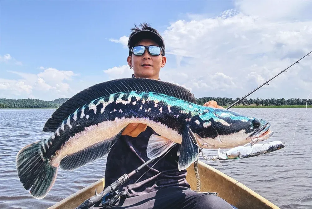 Cách Chọn Cần Câu Lure Phù Hợp: Độ Cứng, Action, Loại Cá Và Địa Hình