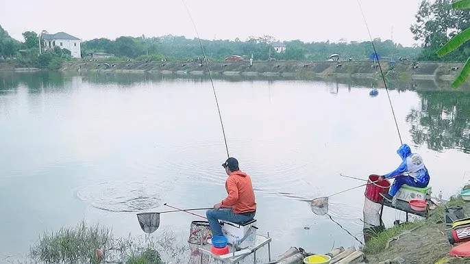 Bí Quyết Chọn Cần Câu Tay Cho Người Mới