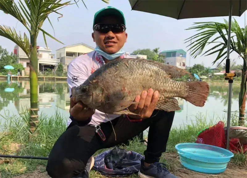 3 Công Thức Làm Mồi Câu Rô Phi Đỉnh Cao Từ Đài Sư