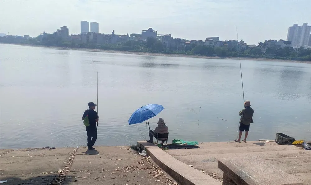 Giới thiệu các Điểm Câu Tự Nhiên Trong Nội Thành Hà Nội