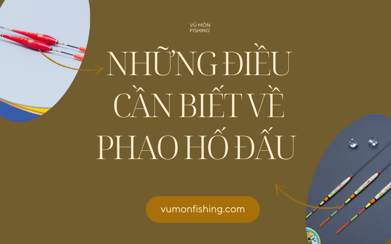 Những điều cần biết về phao Hố Đấu