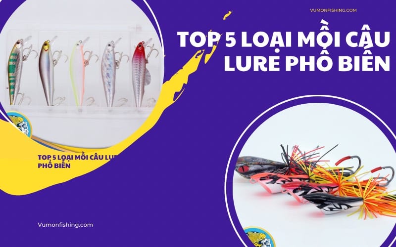 TOP 5 LOẠI MỒI CÂU LURE PHỔ BIẾN