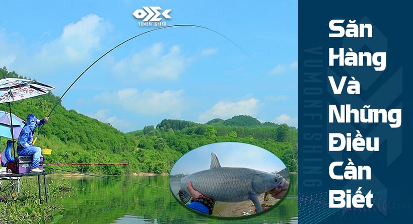 NHỮNG ĐIỀU CẦN BIẾT KHI CÂU SĂN HÀNG
