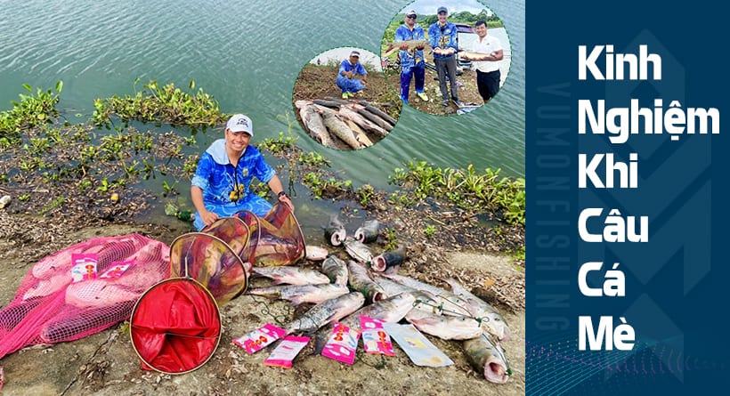 3 KINH NGHIỆM CÂU CÁ MÈ ĐƠN GIẢN, HIỆU QUẢ NHẤT
