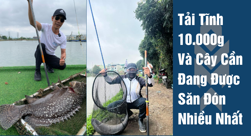 CÂY CẦN SĂN HÀNG TẢI TĨNH 10.000g ĐANG ĐƯỢC ANH EM SĂN ĐÓN LÀ CÂY CẦN GÌ ?