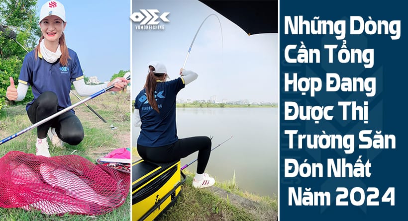 NHỮNG DÒNG CẦN TỔNG HỢP ĐƯỢC SĂN ĐÓN NHẤT NĂM 2024