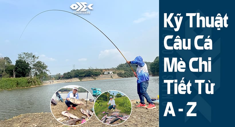 Kỹ Thuật Câu Cá Mè Chi Tiết Từ A - Z