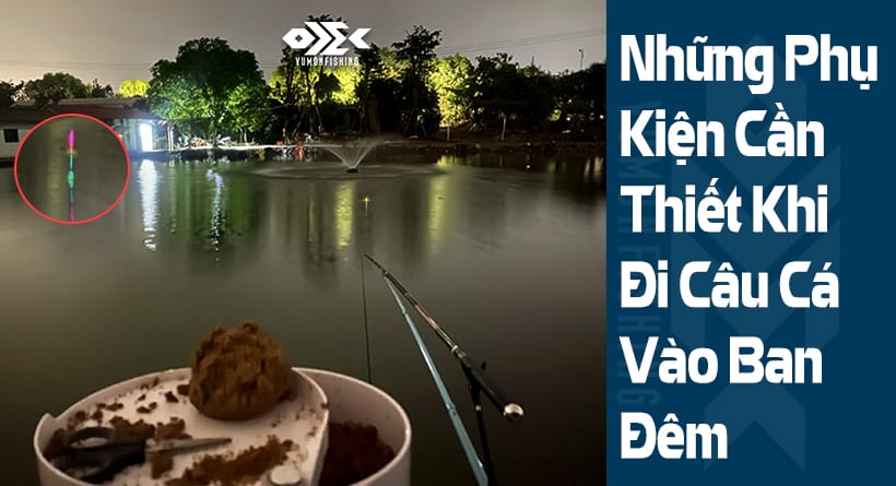 Những Phụ Kiện Cần Thiết Khi Đi Câu Cá Vào Ban Đêm!