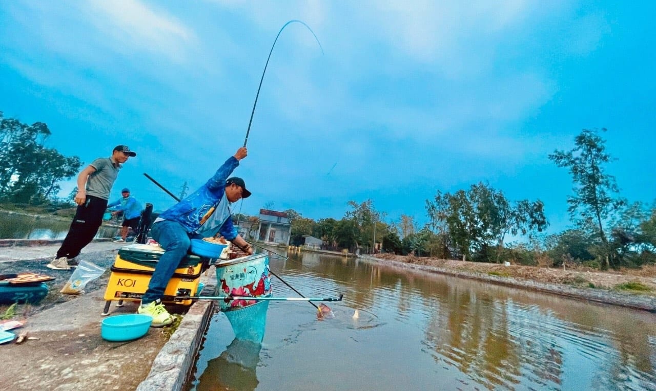 KINH NGHIỆM CÂU CÁ CHO NGƯỜI MỚI BẮT ĐẦU