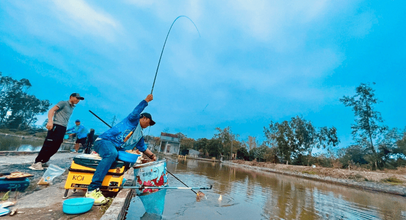 Những Lưu Ý Khi Bảo Quản Cần Cây Tay