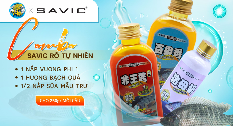 CHIA SẺ BÀI MỒI CÂU CÁ RÔ PHI TỰ NHIÊN ĐƠN GIẢN MÀ HIỆU QUẢ