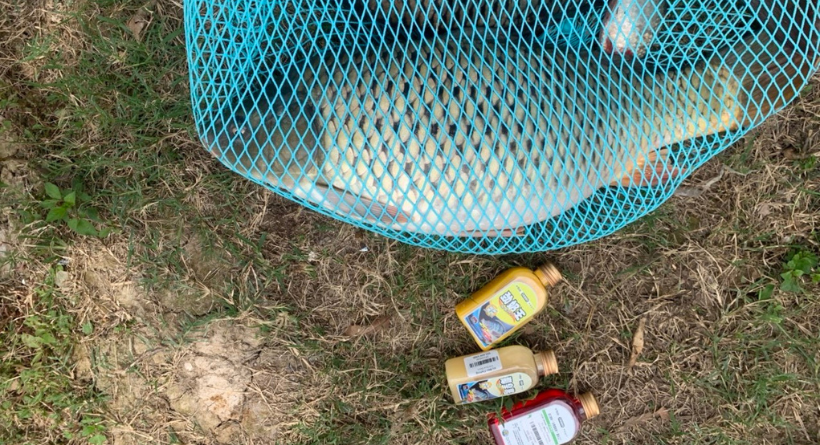 CHIA SẺ VỀ CÂU CÁ CHÉP