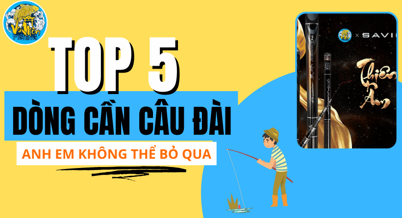 TOP 5 CẦN CÂU ĐÀI CHẤT LƯỢNG KHÔNG THỂ BỎ QUA