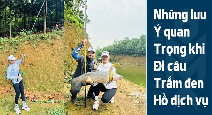 NHỮNG LƯU Ý QUAN TRỌNG KHI ĐI CÂU CÁ TRẮM ĐEN HỒ DỊCH VỤ
