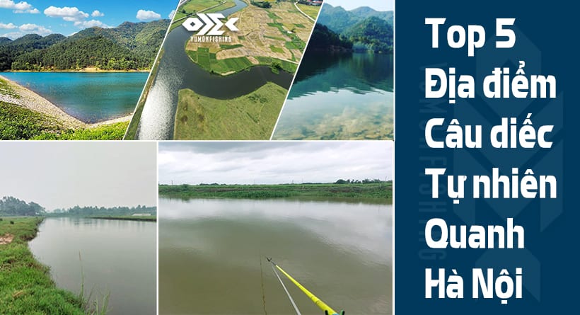 TOP 5 ĐỊA ĐIỂM CÂU DIẾC TỰ NHIÊN QUANH HÀ NỘI