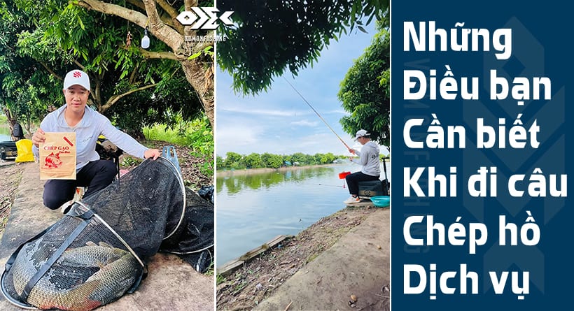 Kinh Nghiệm Câu Cá Chép Hồ Dịch Vụ Hiệu Quả