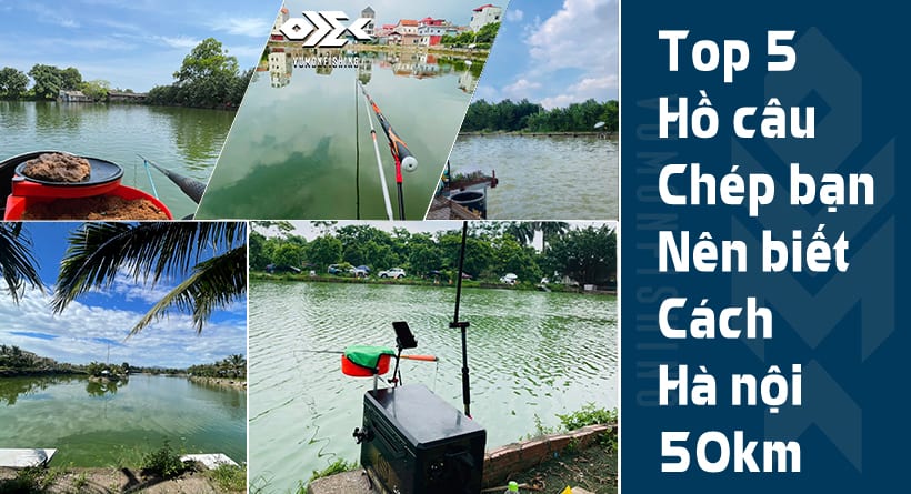 Top 5 Hồ Câu Cá Chép Quanh Hà Nội Bạn Nên Biết
