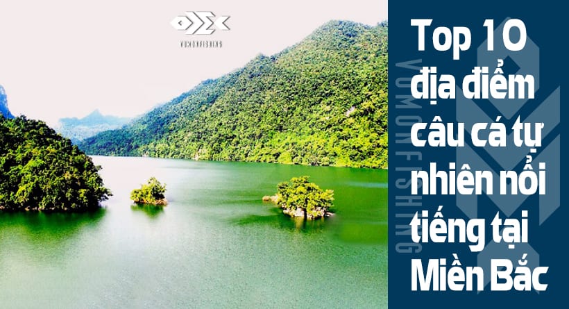 Top 10 Địa Điểm Câu Cá Tự Nhiên Nổi Tiếng Tại Miền Bắc