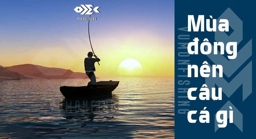 Mùa Đông Nên Câu Cá Gì